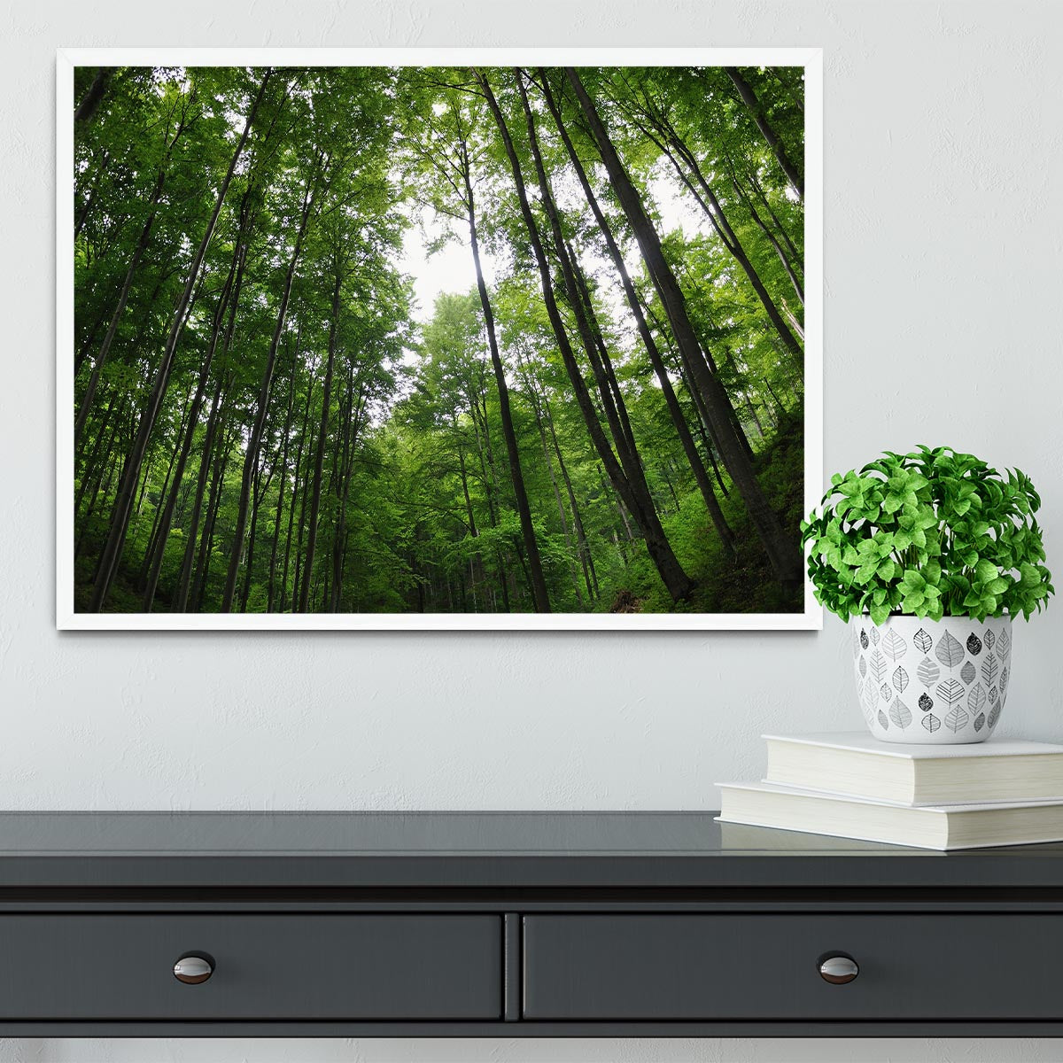 deciduous forest Framed Print - Canvas Art Rocks -6