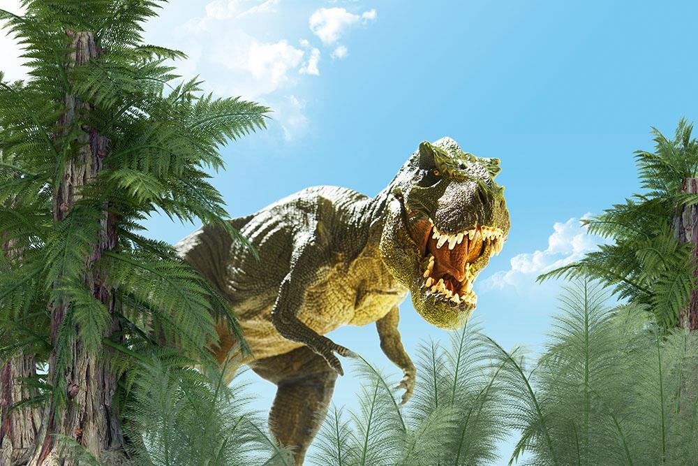dinosaur in the jungle background Wall Mural Wallpaper - Canvas Art Rocks - 1