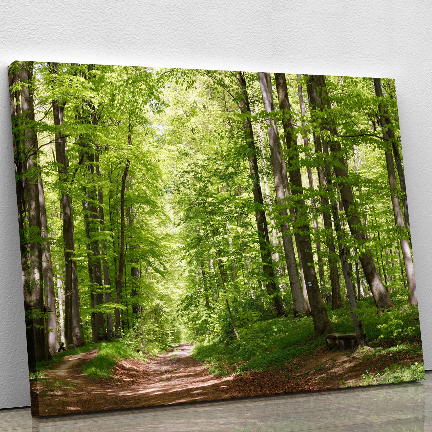 forest during spring Canvas Print or Poster - Canvas Art Rocks - 1
