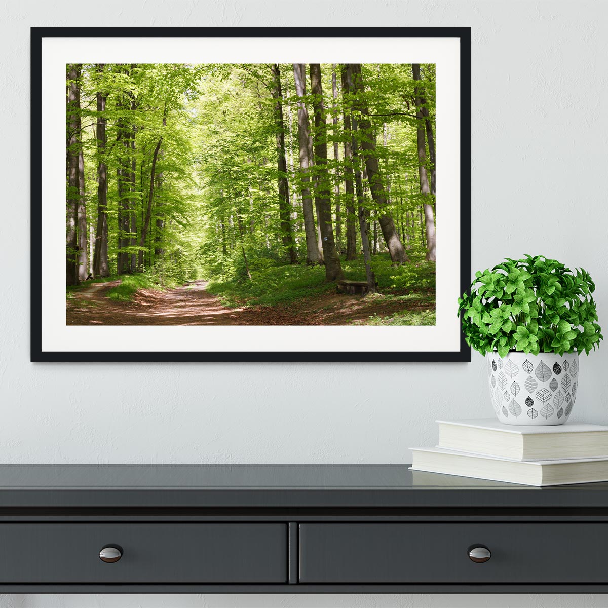 forest during spring Framed Print - Canvas Art Rocks - 1