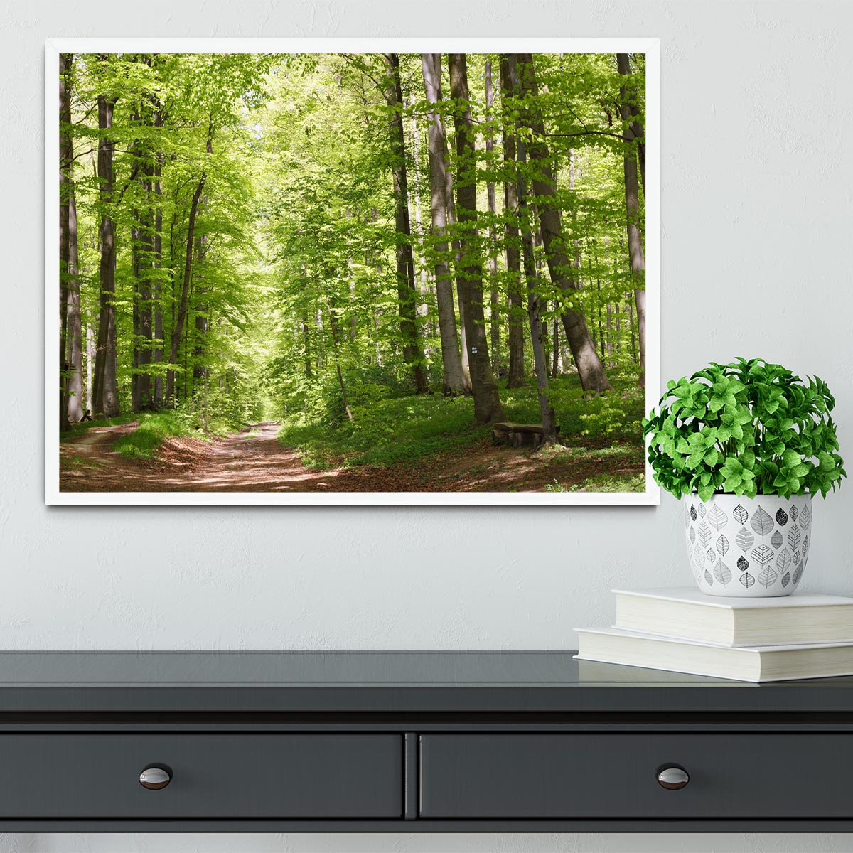 forest during spring Framed Print - Canvas Art Rocks -6