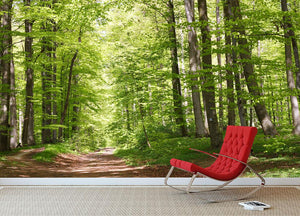 forest during spring Wall Mural Wallpaper - Canvas Art Rocks - 2