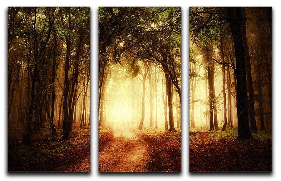 golden forest at autumn 3 Split Panel Canvas Print - Canvas Art Rocks - 1