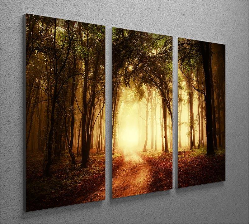 golden forest at autumn 3 Split Panel Canvas Print - Canvas Art Rocks - 2