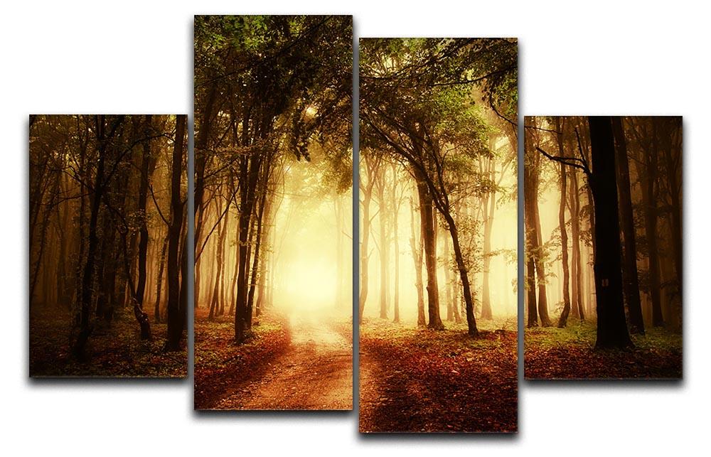 golden forest at autumn 4 Split Panel Canvas  - Canvas Art Rocks - 1