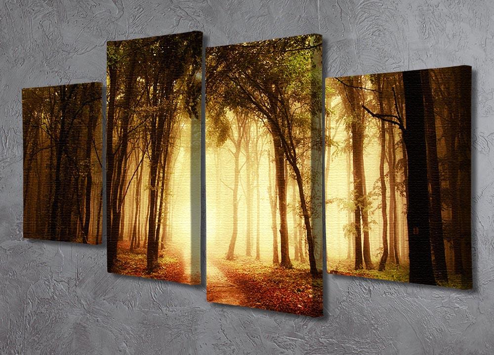 golden forest at autumn 4 Split Panel Canvas  - Canvas Art Rocks - 2