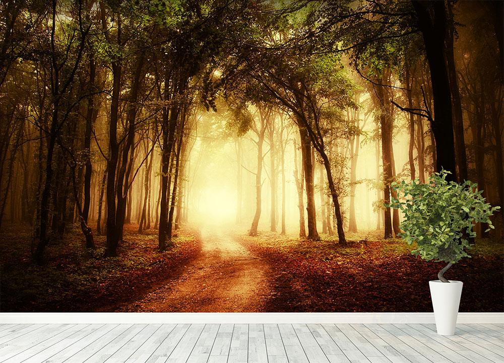 golden forest at autumn Wall Mural Wallpaper - Canvas Art Rocks - 4