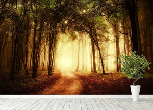 golden forest at autumn Wall Mural Wallpaper - Canvas Art Rocks - 4
