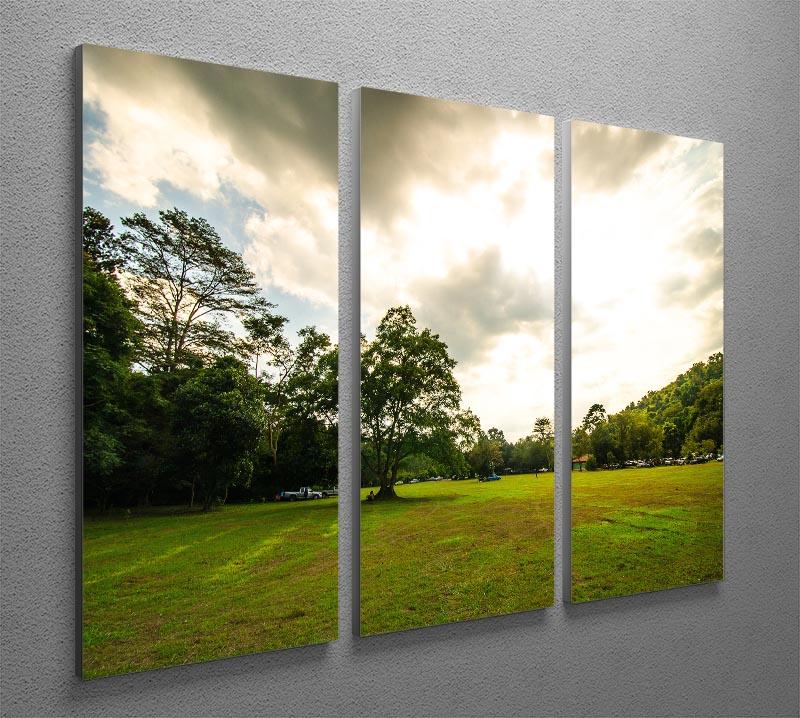 grass and bigtree in the forrest 3 Split Panel Canvas Print - Canvas Art Rocks - 2