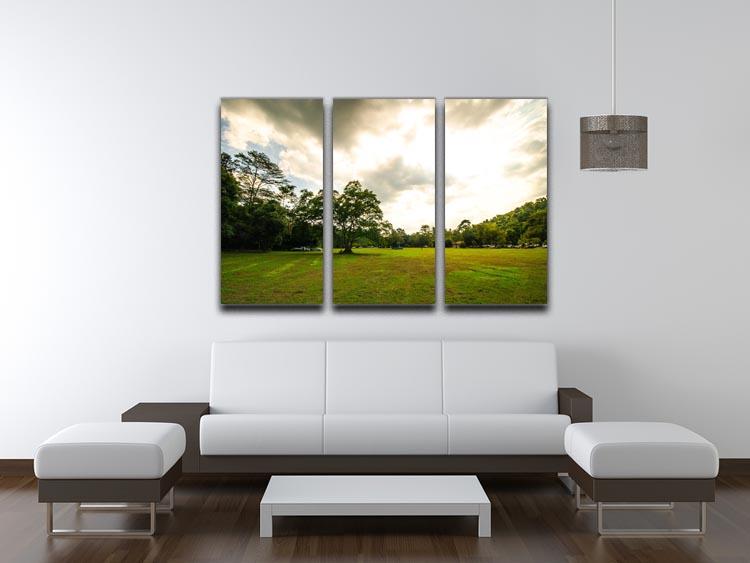 grass and bigtree in the forrest 3 Split Panel Canvas Print - Canvas Art Rocks - 3