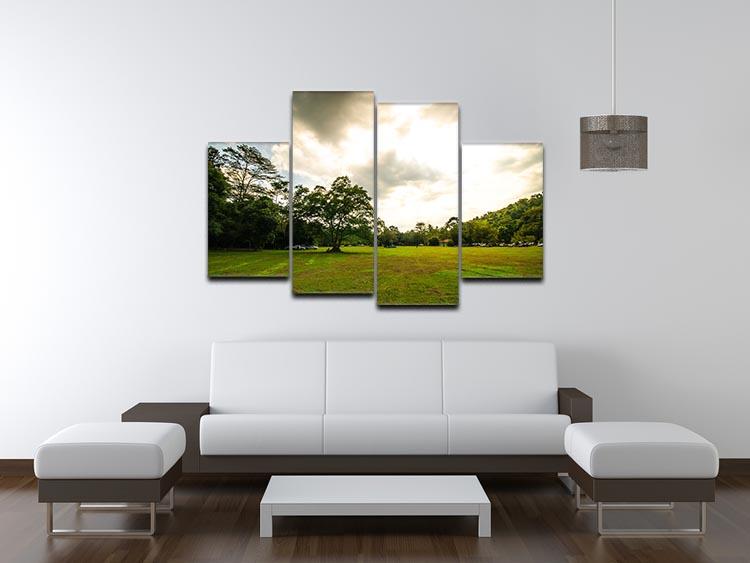 grass and bigtree in the forrest 4 Split Panel Canvas  - Canvas Art Rocks - 3