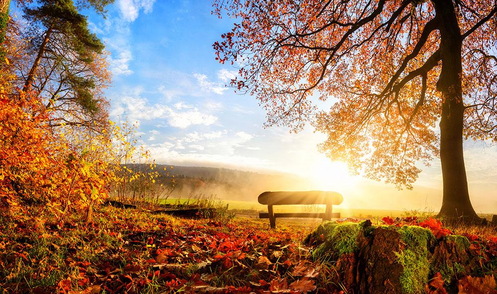 landscape with the sun warmly illumining Wall Mural Wallpaper - Canvas Art Rocks - 1