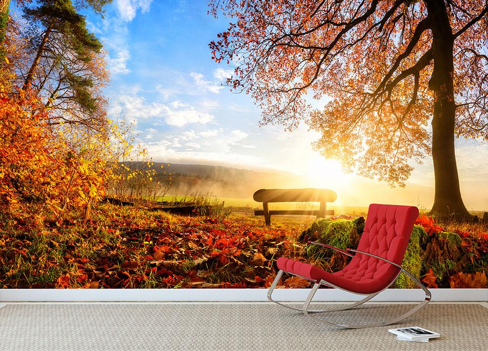 landscape with the sun warmly illumining Wall Mural Wallpaper - Canvas Art Rocks - 2