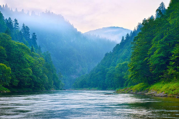 mountain river in the morning Dunajec Wall Mural Wallpaper