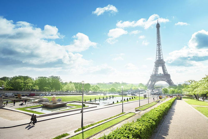 sunny morning and Eiffel Towe Wall Mural Wallpaper