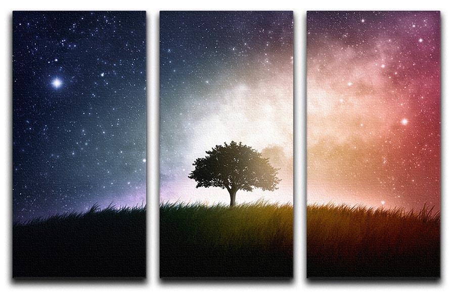 tree in a field with beautiful space background 3 Split Panel Canvas Print - Canvas Art Rocks - 1
