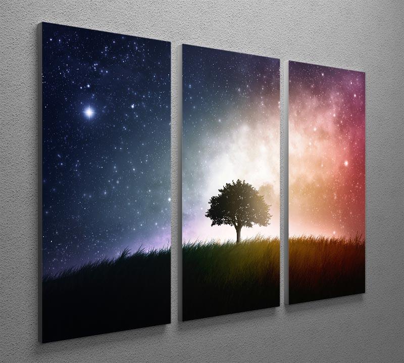 tree in a field with beautiful space background 3 Split Panel Canvas Print - Canvas Art Rocks - 2