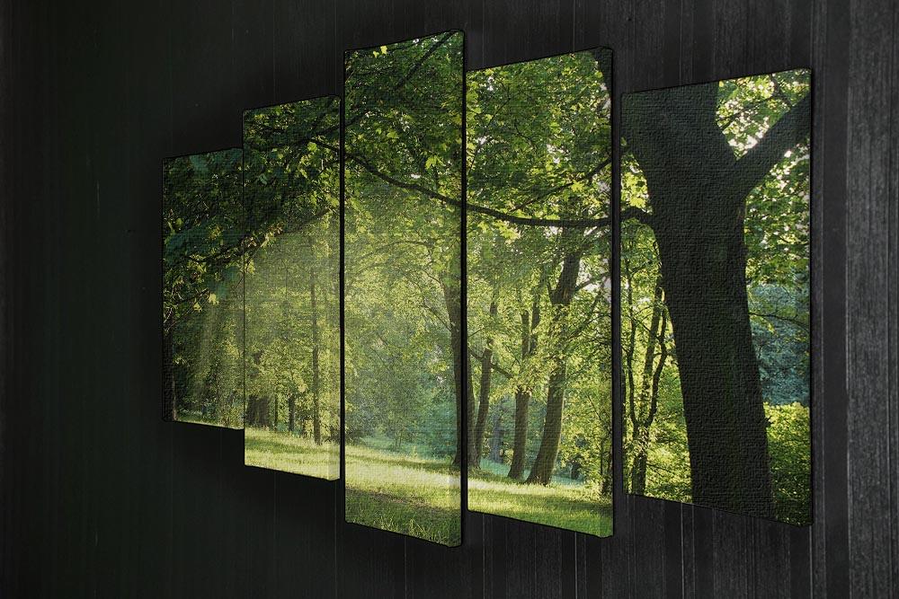 trees in a summer forest 5 Split Panel Canvas  - Canvas Art Rocks - 2
