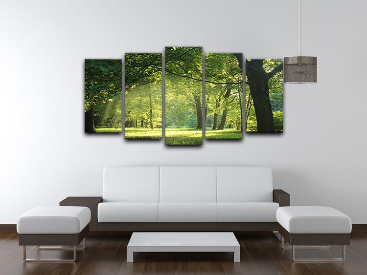 trees in a summer forest 5 Split Panel Canvas  - Canvas Art Rocks - 3