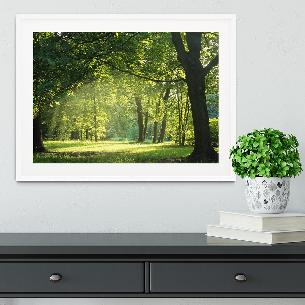 trees in a summer forest Framed Print - Canvas Art Rocks - 5