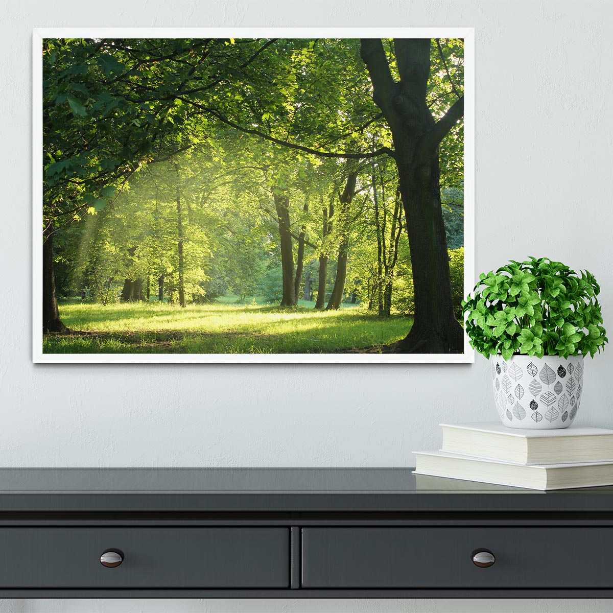 trees in a summer forest Framed Print - Canvas Art Rocks -6