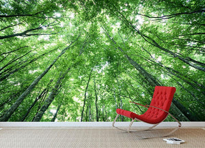 trees meeting eachother at the sky Wall Mural Wallpaper - Canvas Art Rocks - 2