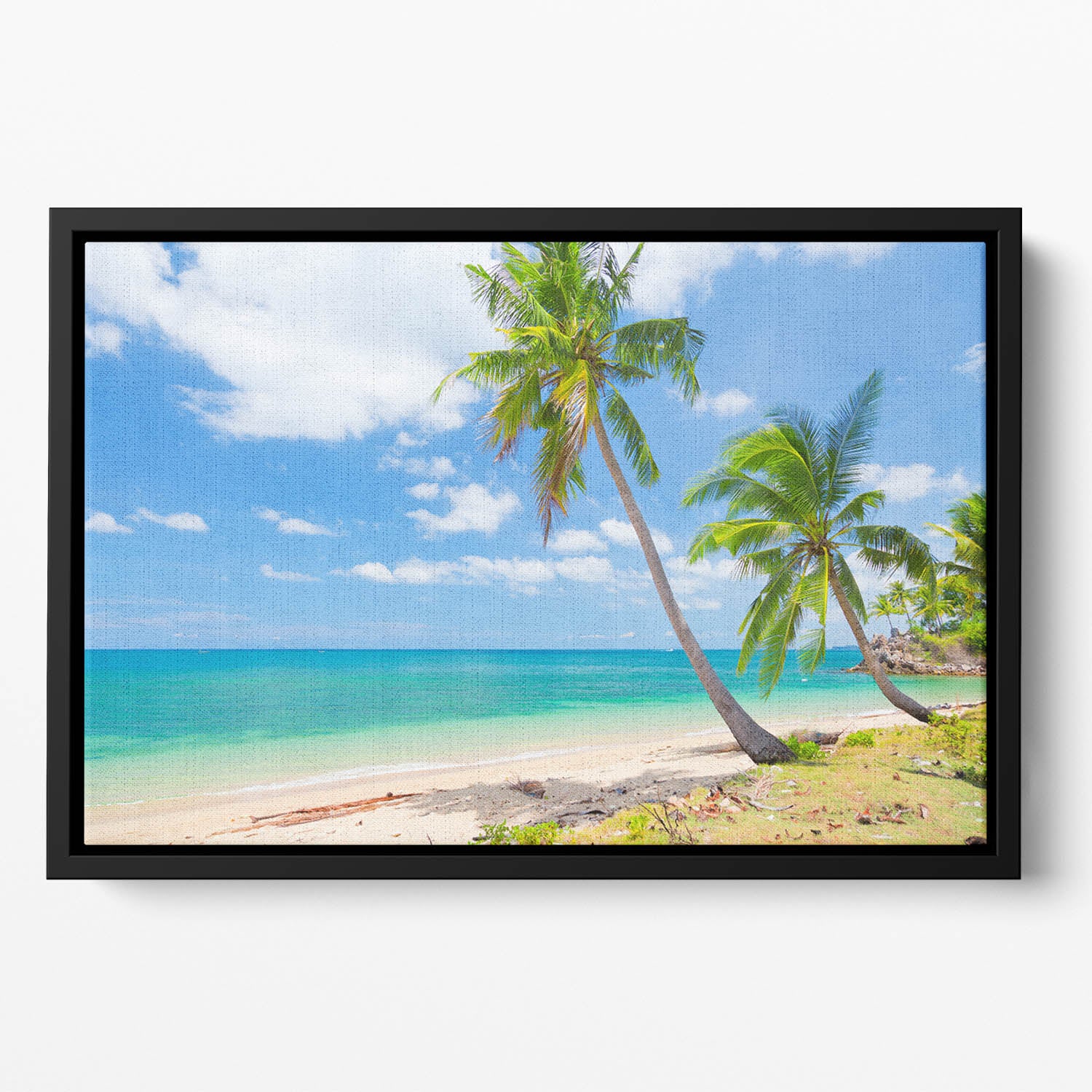tropical beach with coconut palm Floating Framed Canvas