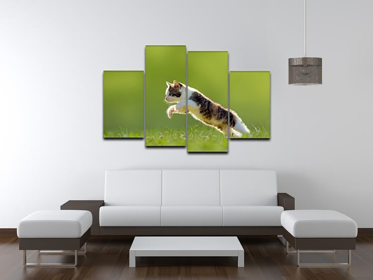 young cat jumps over a meadow in the backlit 4 Split Panel Canvas - Canvas Art Rocks - 3