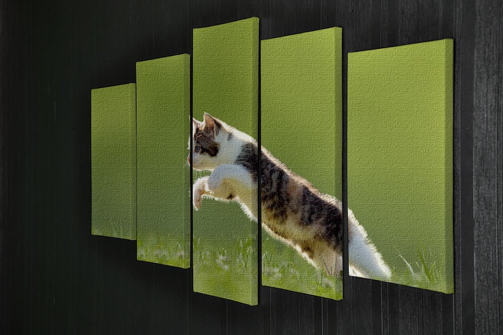 young cat jumps over a meadow in the backlit 5 Split Panel Canvas - Canvas Art Rocks - 2