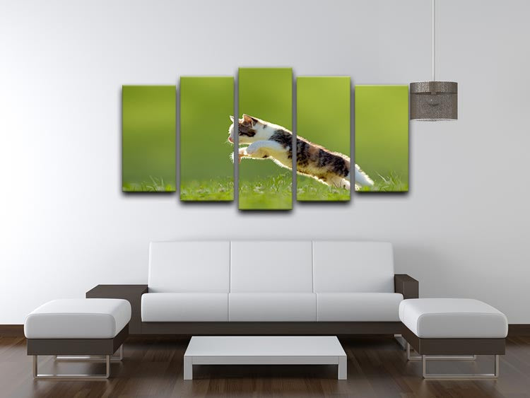 young cat jumps over a meadow in the backlit 5 Split Panel Canvas - Canvas Art Rocks - 3