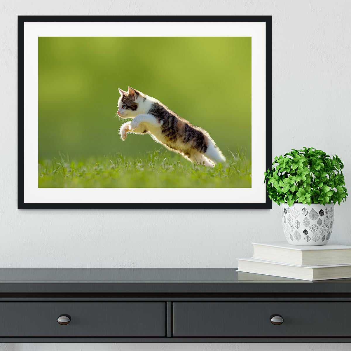 young cat jumps over a meadow in the backlit Framed Print - Canvas Art Rocks - 1