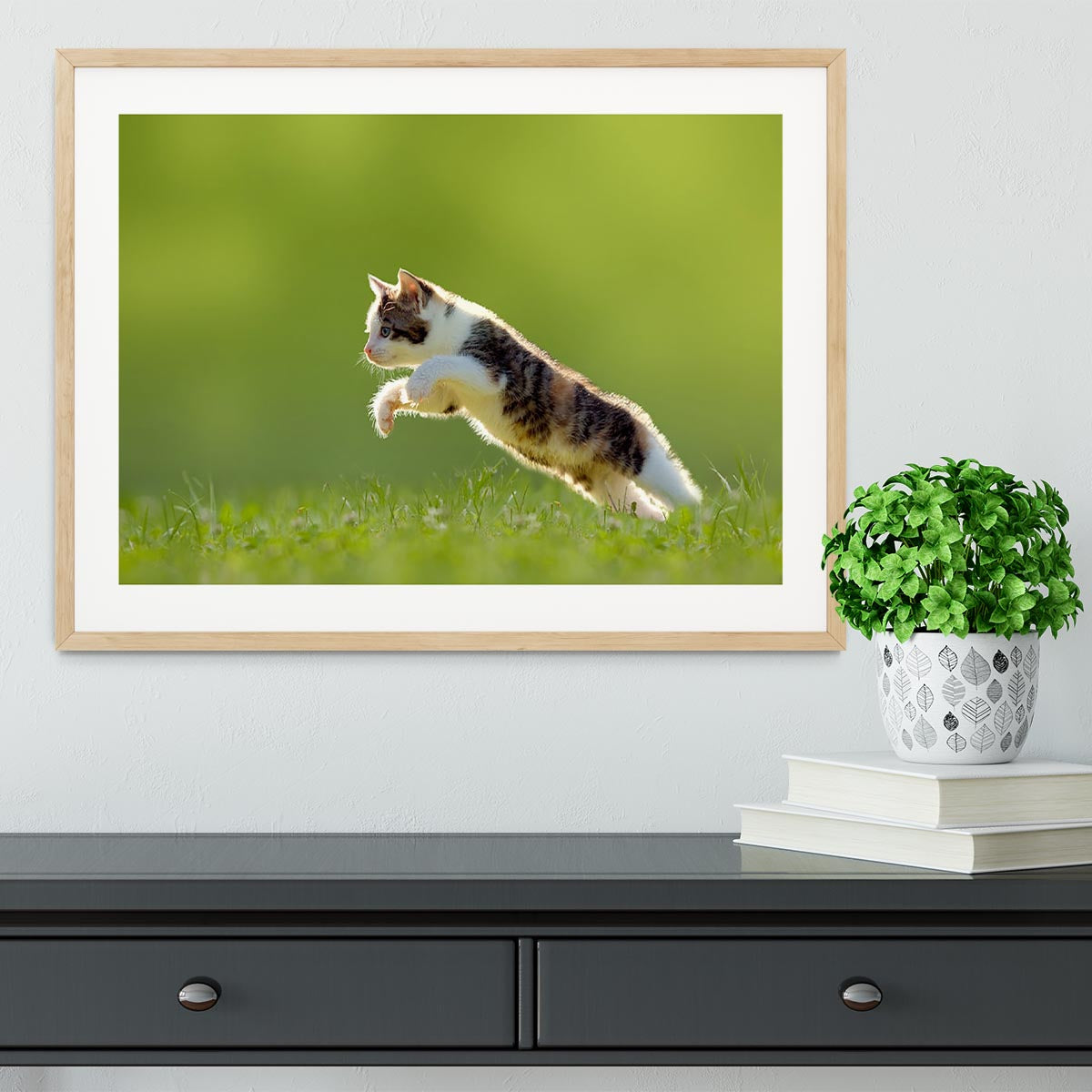 young cat jumps over a meadow in the backlit Framed Print - Canvas Art Rocks - 3