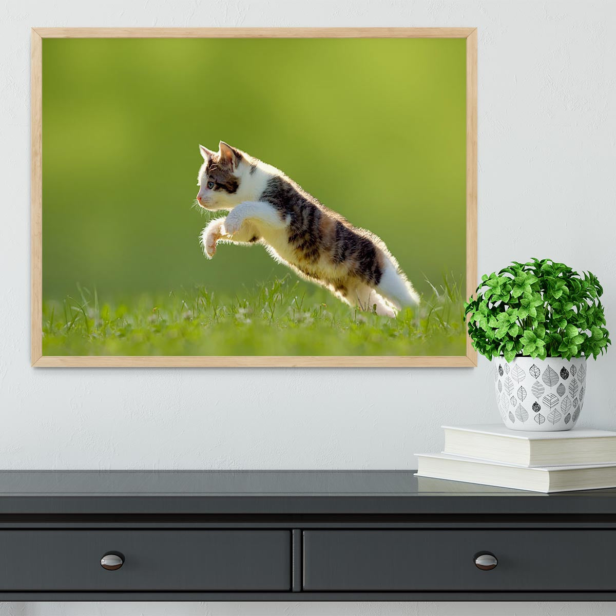 young cat jumps over a meadow in the backlit Framed Print - Canvas Art Rocks - 4