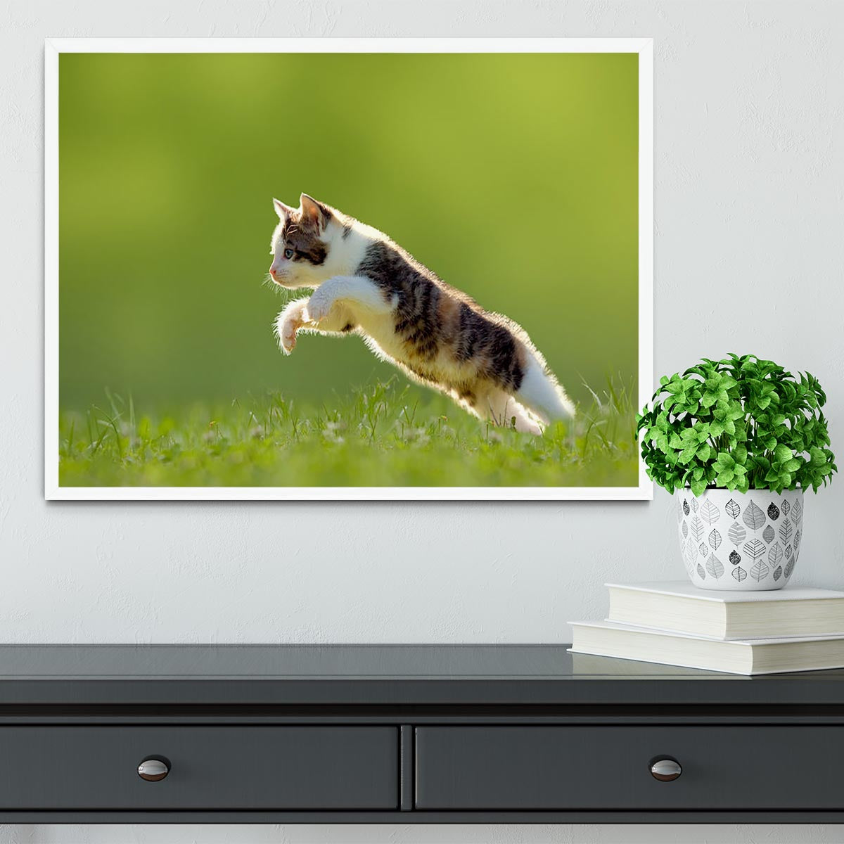 young cat jumps over a meadow in the backlit Framed Print - Canvas Art Rocks -6